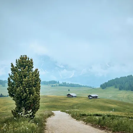Alpina Dolomites 5* Alpe Di Siusi