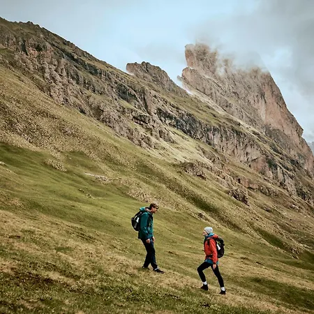 Hotel Alpina Dolomites Alpe Di Siusi