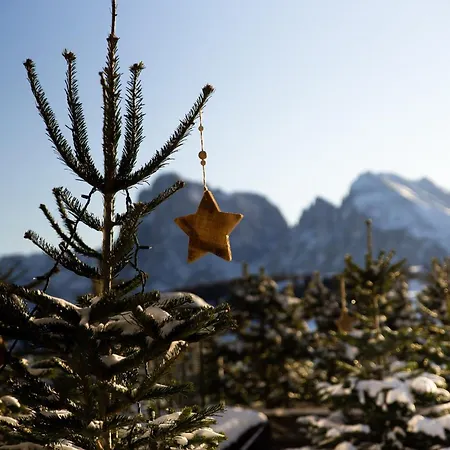 Alpina Dolomites Alpe Di Siusi