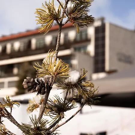 Alpina Dolomites Hotel 5*