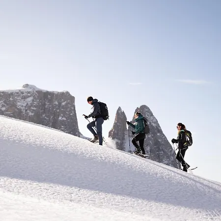 Alpina Dolomites Hotel Alpe Di Siusi