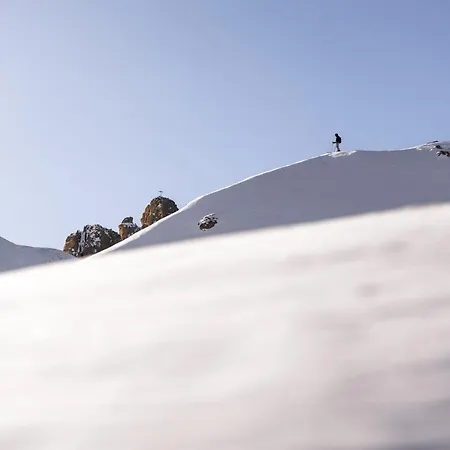 Hotel Alpina Dolomites 5*