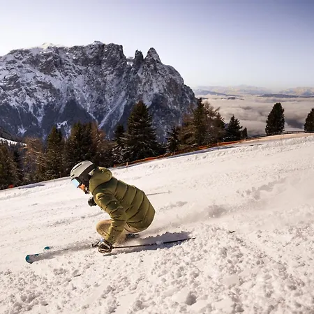 Hotel Alpina Dolomites Alpe Di Siusi