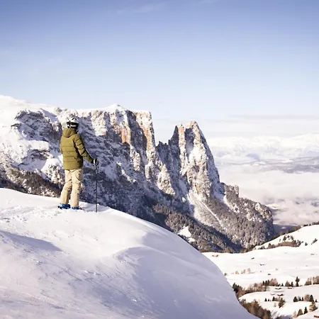 Alpina Dolomites