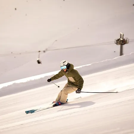 Hotel Alpina Dolomites 5*
