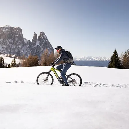 Hotel Alpina Dolomites 5*