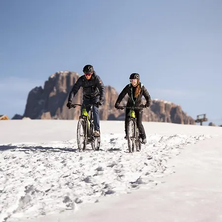 Alpina Dolomites Alpe Di Siusi